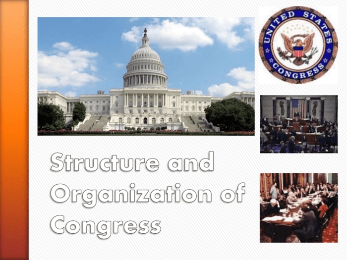 Committees leadership congressional