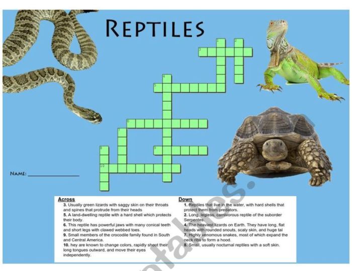 Birds and reptiles crossword answer key