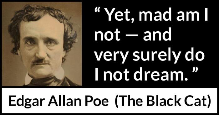 Edgar allan poe quotes the black cat