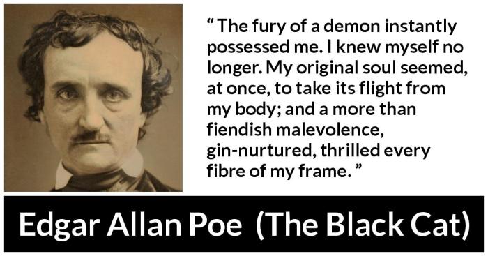 Cat poe edgar allan book allen barnesandnoble quotes