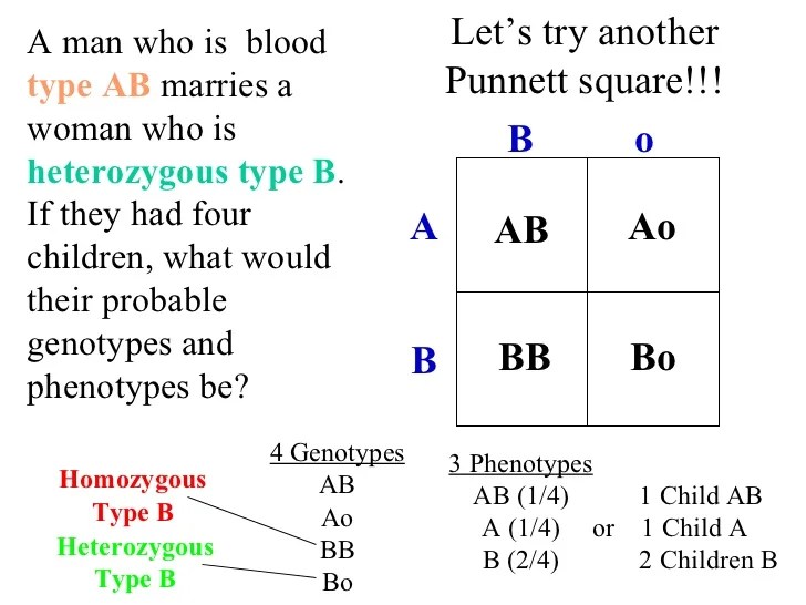 Punnett square blood type worksheet