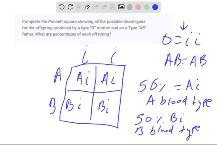 Punnett square blood type worksheet