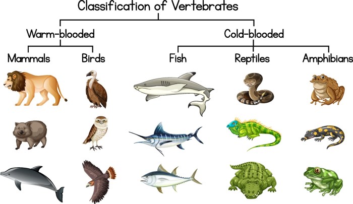 Birds and reptiles crossword answer key