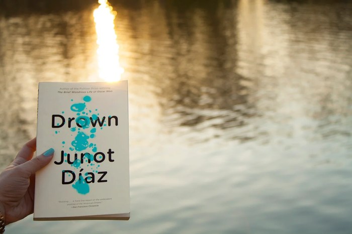 Drown by junot diaz chapter summary