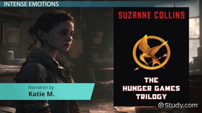 Figurative language in hunger games