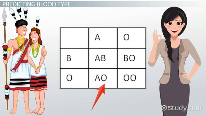 Punnett square blood type worksheet