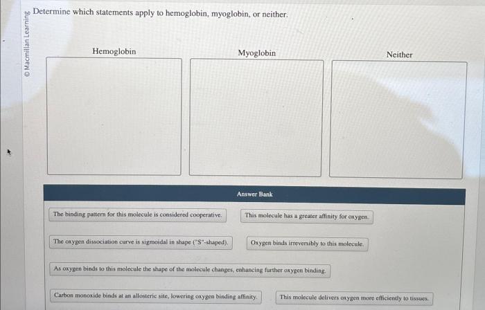 Hemoglobin statements myoglobin transcribed oxygen