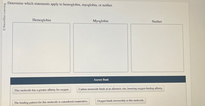 Hemoglobin statements determine oxygen binding myoglobin phrases help which neither part regarding solved has need